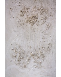 compassion_1170867240