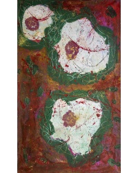 img_0522_rosa_alba_nr_1